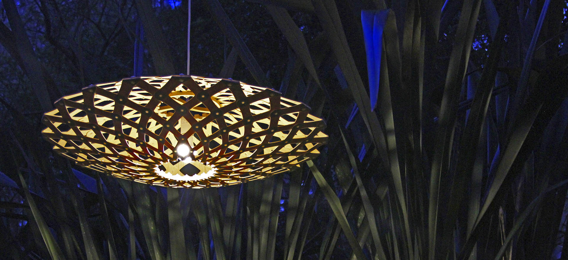 Flax special light
