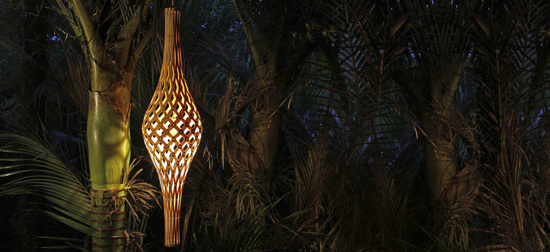 Nikau nacht